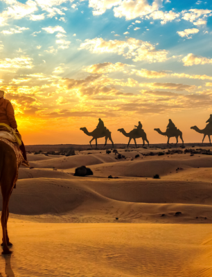 Rajasthan Tour