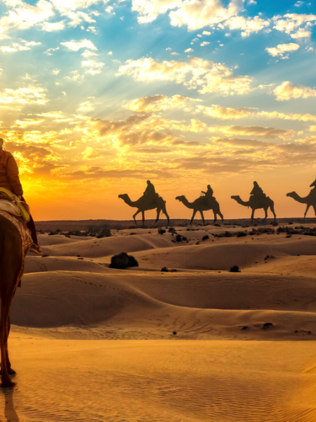 Rajasthan Tour